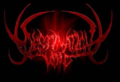 logo Destination Void